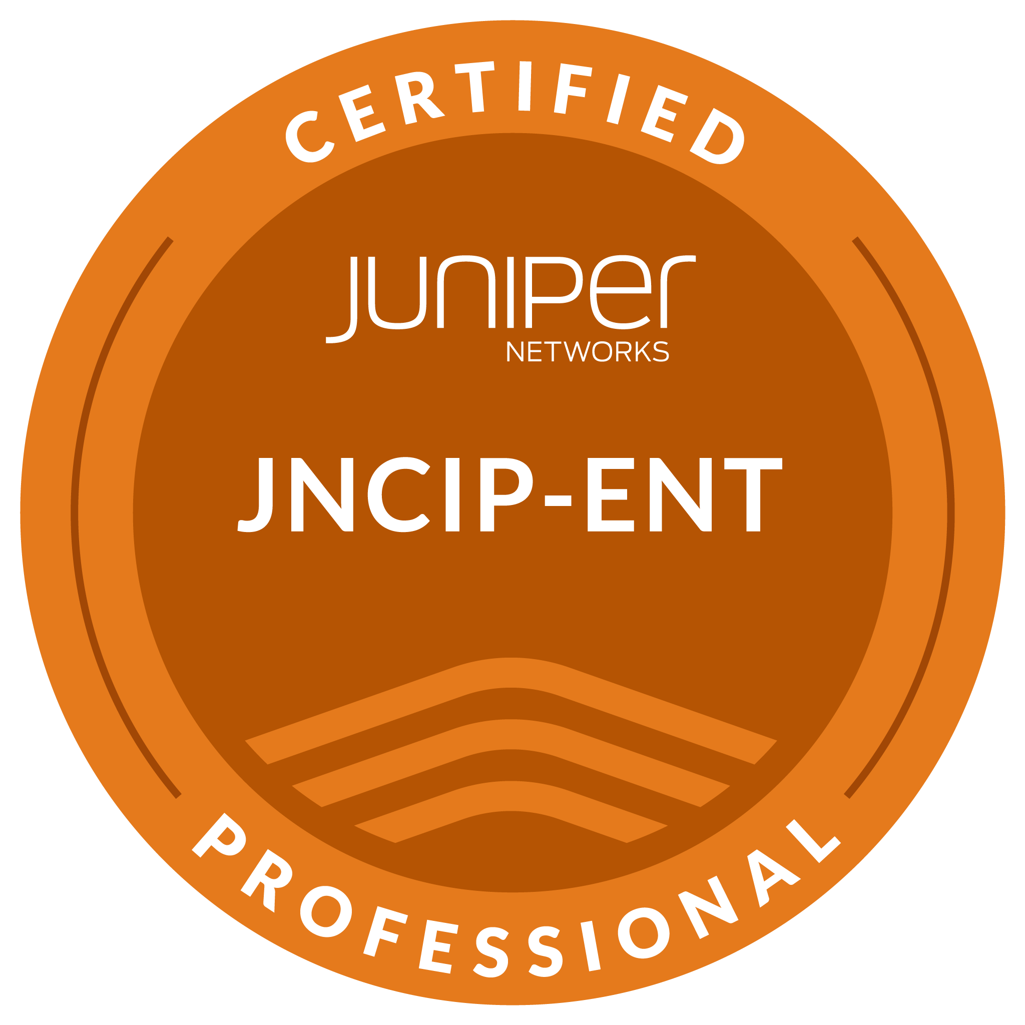 Juniper Networks JNCIP